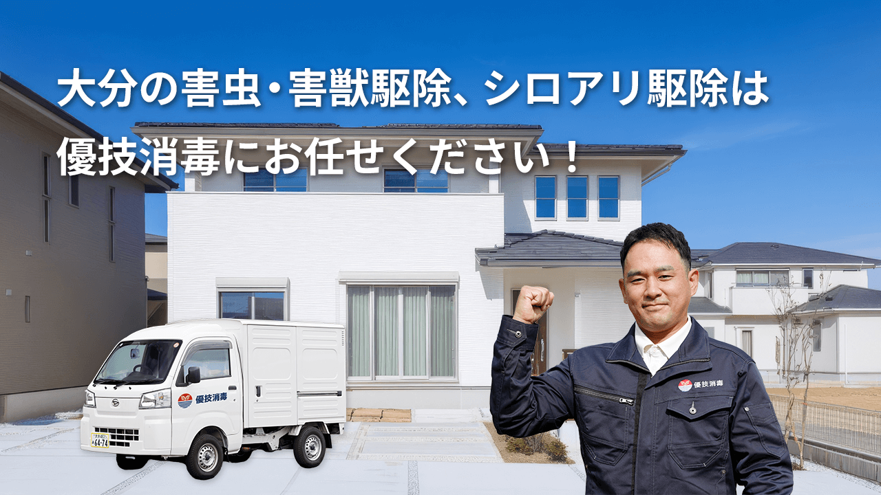 メインイメージ1