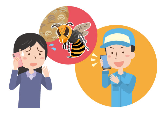 スズメバチ駆除に困った女性が害虫駆除業者に電話をかけている