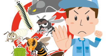 大分の害虫駆除、プロに頼むべき？自分でできる？料金相場と業者の選び方のアイキャッチ